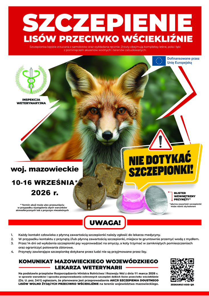 Plakat Mazowieckiego Wojew&oacute;dzkiego Lekarza Weterynarii informujący o&nbsp;szczepieniu lis&oacute;w przeciwko wściekliźnie w&nbsp;wojew&oacute;dztwie mazowieckim od 10 do 16 września 2026 roku. Szczepionki będą zrzucane z&nbsp;samolot&oacute;w oraz&nbsp;wykładane ręcznie w&nbsp;lasach, na&nbsp;polach i&nbsp;łąkach, z&nbsp;pominięciem akwen&oacute;w wodnych i&nbsp;teren&oacute;w zabudowanych. Ostrzeżenie: nie dotykać szczepionki. Kontakt z&nbsp;jej płynną zawartością należy zgłosić lekarzowi, a&nbsp;miejsce kontaktu dokładnie umyć wodą z&nbsp;mydłem. Przez 14 dni od wyłożenia szczepionek psy należy prowadzić na&nbsp;smyczy, koty trzymać w&nbsp;zamkniętych pomieszczeniach oraz&nbsp;ograniczyć polowania zbiorowe. Przynęty dotknięte przez ludzi nie są przyjmowane przez lisy. Termin akcji może ulec zmianie z&nbsp;powodu złej pogody lub&nbsp;innych niezależnych przyczyn. Na plakacie widoczny jest lis oraz&nbsp;przykłady brązowych przynęt i&nbsp;blistr&oacute;w ze szczepionką.