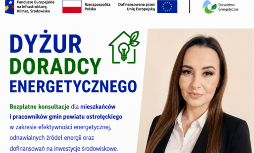 Dyżur Doradczy Energetycznego 